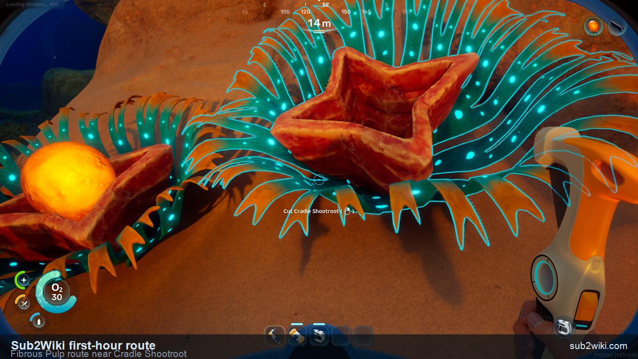 Subnautica 2 first-hour Fibrous Pulp route near Cradle Shootroot after the Lifepod material loop.