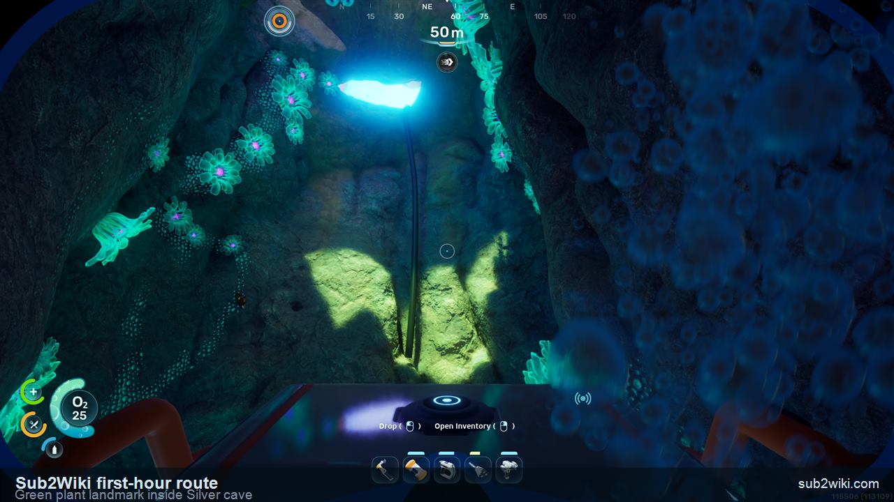 Subnautica 2 green glowing plant landmark inside the Silver cave.