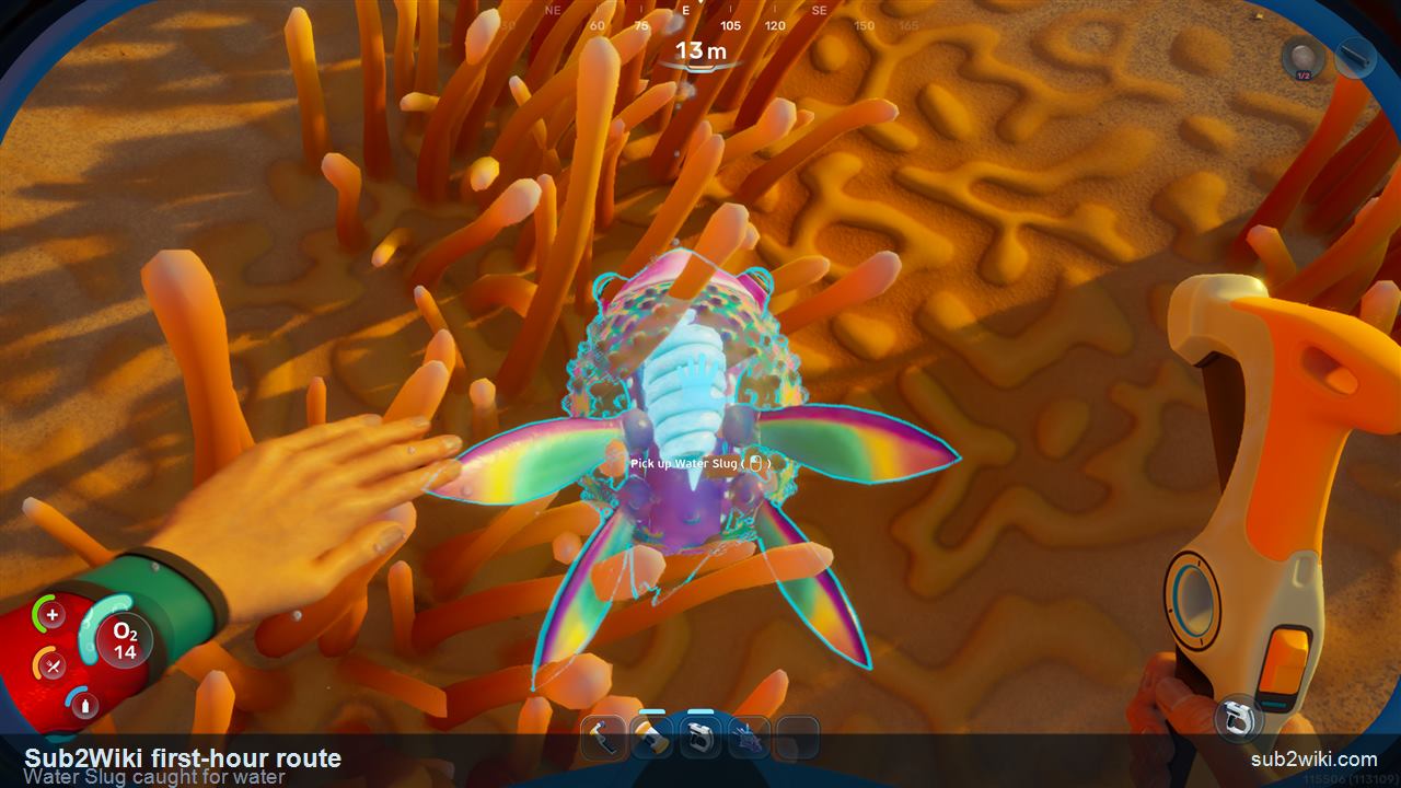 Subnautica 2 first-hour Water Slug caught for the water crafting route.