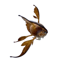 Subnautica 2 Cooked Pneumo in-game icon.
