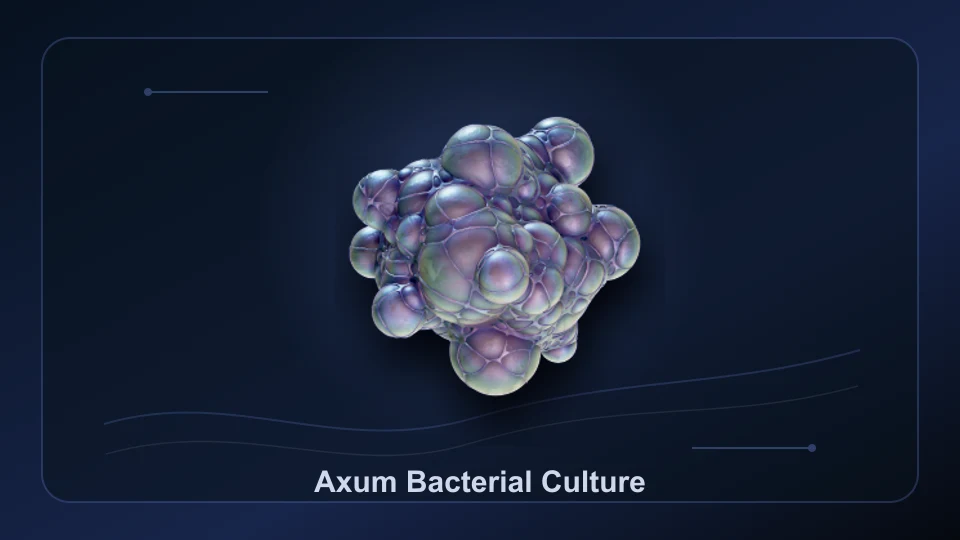 Subnautica 2 Axum Bacterial Culture item render for item lookup and route planning.