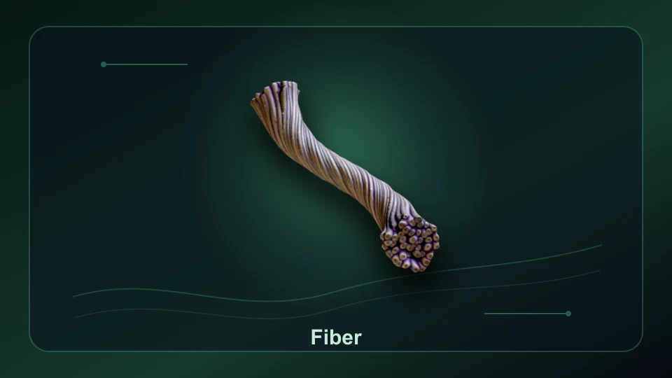 Subnautica 2 Fiber item render for item lookup and route planning.