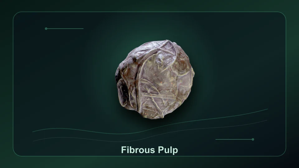 Subnautica 2 Fibrous Pulp item render for item lookup and route planning.